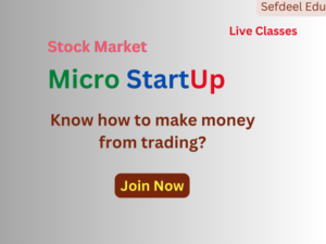 Micro StartUp Course
