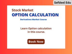 Option Calculation Course